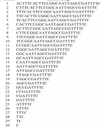 Figure 1. Suffix examples.