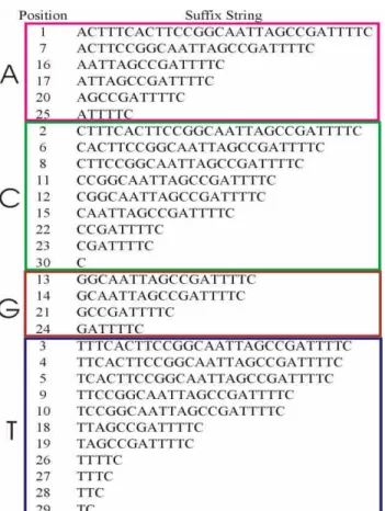 Figure 2. Partitioning Suffixes into A, C, G and T groups (k = 1).