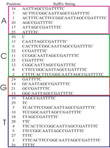 Figure 3. Suffixes sorted in groups (k = 1).