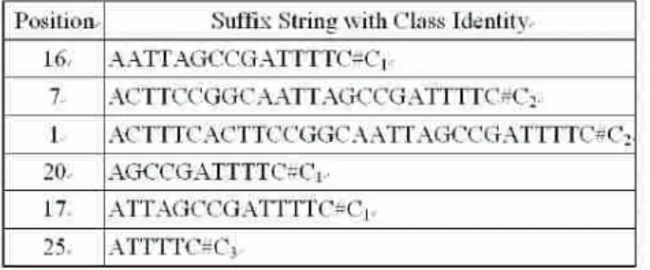 Figure 5: Suffixes concatenated with class identity.