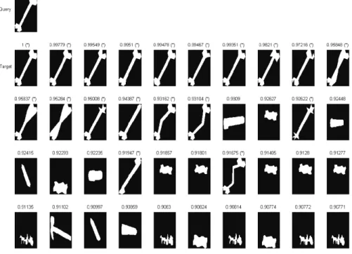 Figure 2. A retrieval example on the MPEG-7 database. In this case, the number of correct  hits is 19 and hence the retrieval rate is 19/20 = 0.95