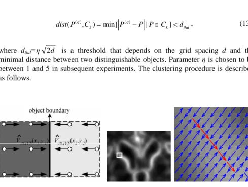 Figure 2. (a) An example of force contradiction with quantized AGVF vector directions at grid points