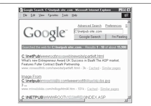 Figure 3-3  Using Google to ﬁ nd Windows systems in the “.com” top-level domain