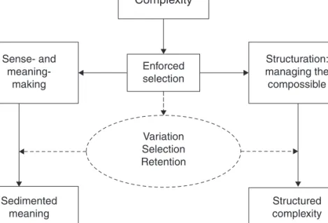 Figure 4.1 presents a highly simplified model of what complexity reduc- reduc-tion through semiosis and structurareduc-tion involves; this model will be  elabo-rated in successive sections of this chapter