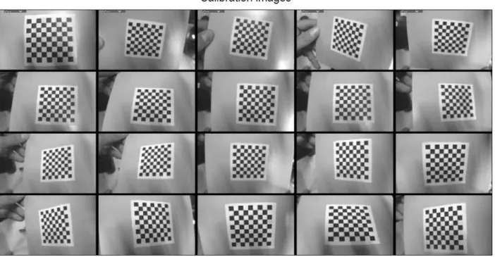 Fig. 3.6 9×9 black and white checkerboard