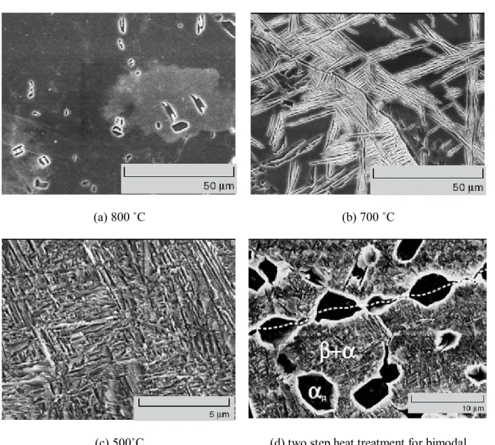 Figure 18. Scanning electron micrographs of microstructures resulting from various  ageing temperatures for Ti-5553  46