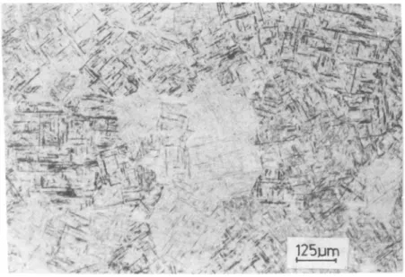 Figure  6.  Parent  microstructure  of  the  Ti  6AI  4 V   alloy  uscd  in  the  welding  studies