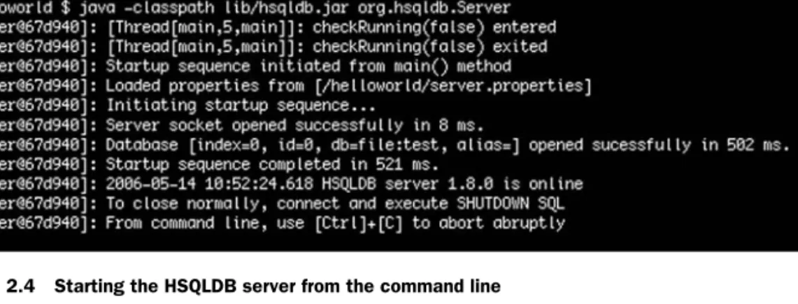 Figure 2.4 Starting the HSQLDB server from the command line