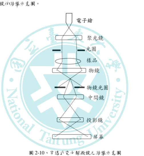 圖 2-10、穿透式電子顯微鏡之結構示意圖 