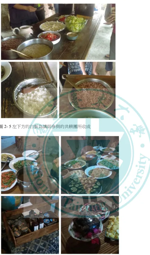 圖 2-   5 左下方的白飯為講師參與的共耕團所收成 