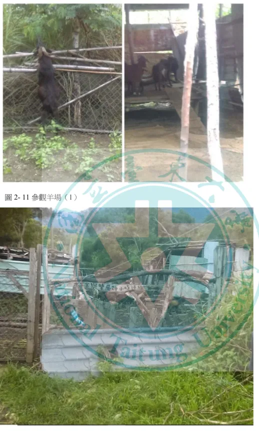 圖 2- 11 參觀羊場（1）