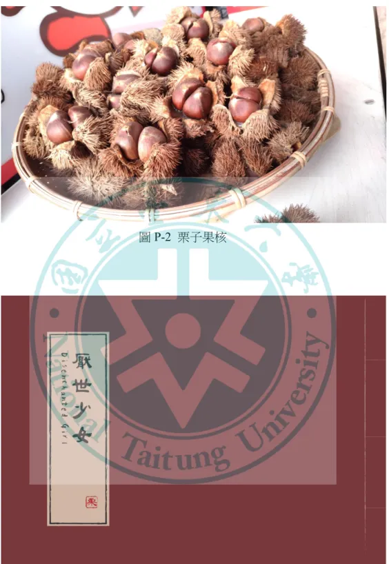 圖 P-2 栗子果核