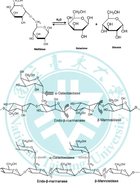 Figure 1. Hydrolysis of (A) melibiose, (B) locust bean gum and (C) guar gum by  α-galactosidase