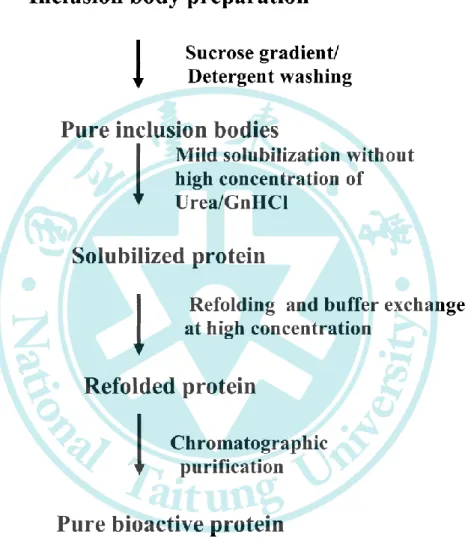 Figure 7. Purification strategy for improved recovery of bioactive protein from  inclusion bodies
