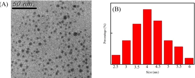 Figure 3- 3. TEM  images  of  the  as  prepared  EPCDs  (A),  the  corresponding  size  distributions of the EPCDs (B)