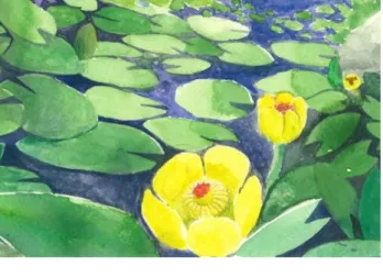 圖 3-8〈炎炎夏日〉局部  6.重疊法：疊色時由亮到暗，次第進行，等第一層乾後再疊第二 層，以此類推直到作畫完成，不慌不忙的作畫技巧，作畫時有 思考的時間，筆觸清楚，多次疊色可以產生豐富的調子。 62  圖 3-9〈美食共享〉局部  除了水彩和粉彩，加上多媒材的運用，配合色彩、光影、線條、 比例等概念，力求造型寫實，運用不同的水彩技法，利用水彩顏料及 沾水筆在日本水彩紙上，以渲染法、縫合法、重疊法、乾筆法、平圖 法等技巧，以及粉彩技法交錯使用。此外，也參考《畫鳥.話鳥》 63 及 《台灣野鳥生態繪畫》 6