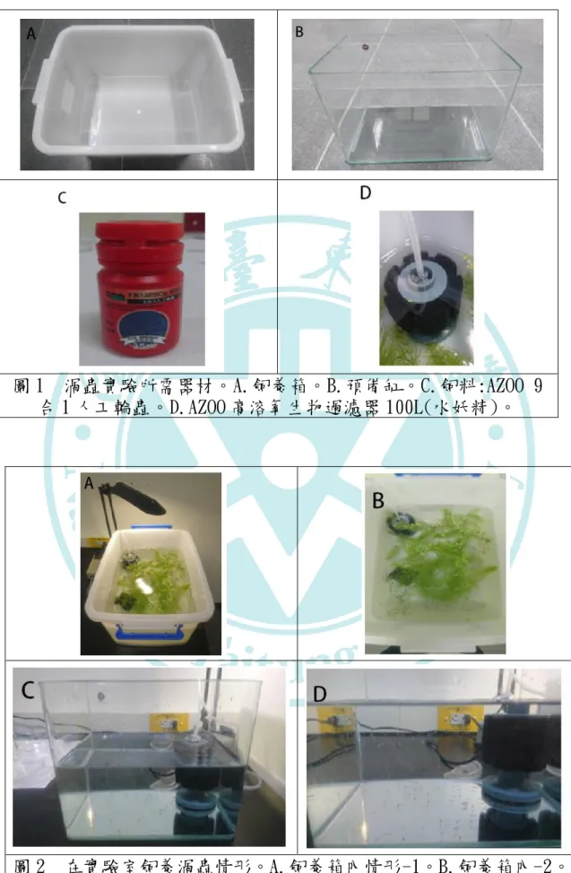 圖 1  渦蟲實驗所需器材。A.飼養箱。B.預備缸。C.飼料:AZOO 9 合 1 人工輪蟲。D.AZOO 高溶氧生物過濾器 100L(水妖精)。 