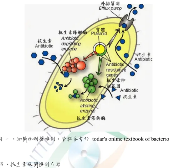圖  一、細菌的耐藥機制。資料參考於  todar's online textbook of bacteriology。 