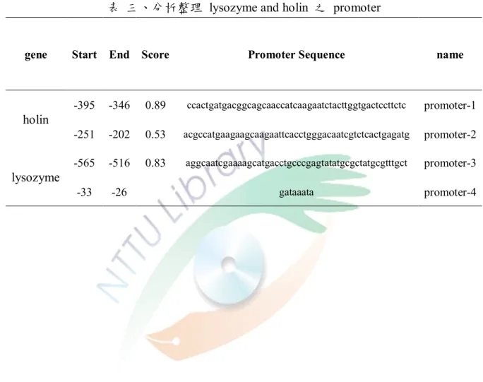 表  三、分析整理  lysozyme and holin  之  promoter 
