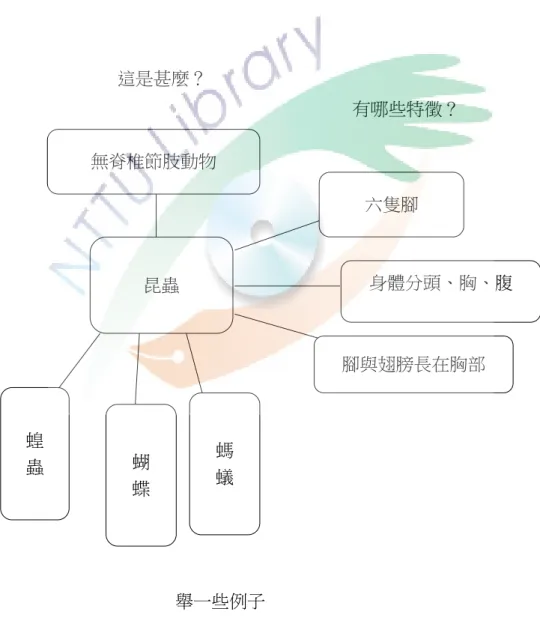 圖 2-4  定義圖策略(Concept of Definition Map)：以昆蟲為例。 