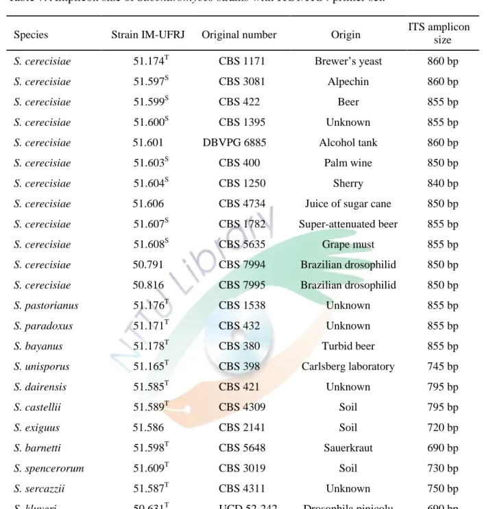 Table 7. Amplicon size of Saccharomyces strains with ITS1/ITS4 primer set. 