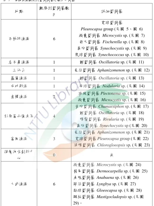 表  7 十個採樣點觀測到藍菌菌屬之數目及菌屬  地點  觀察到藍菌屬數 目  詳細藍菌屬  石梯坪漁港  6  寬球藍菌屬  Pleurocapsa group (見圖  5、圖  6)  微囊藍菌屬  Microcystis sp