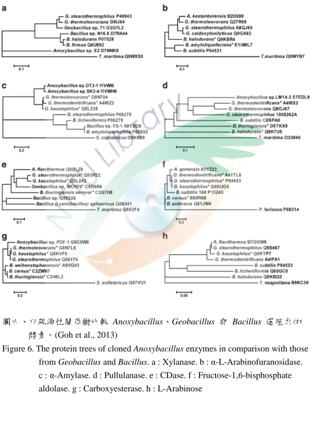 Figure 6. The protein trees of cloned Anoxybacillus enzymes in comparison with those  from Geobacillus and Bacillus