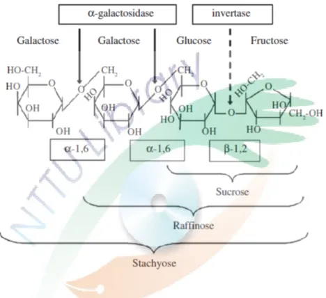 Figure 7. Structures of the α-galactosides raffinose and stachyose and the enzymes  that catalyze their hydrolysis