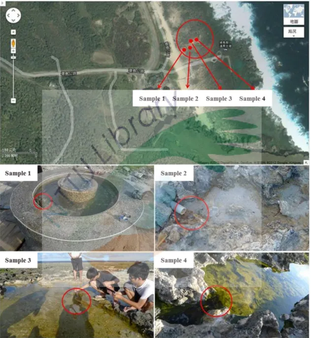 Figure 9. Sampling sites of Jhao-Rih (JR) hot spring at Green Island. 