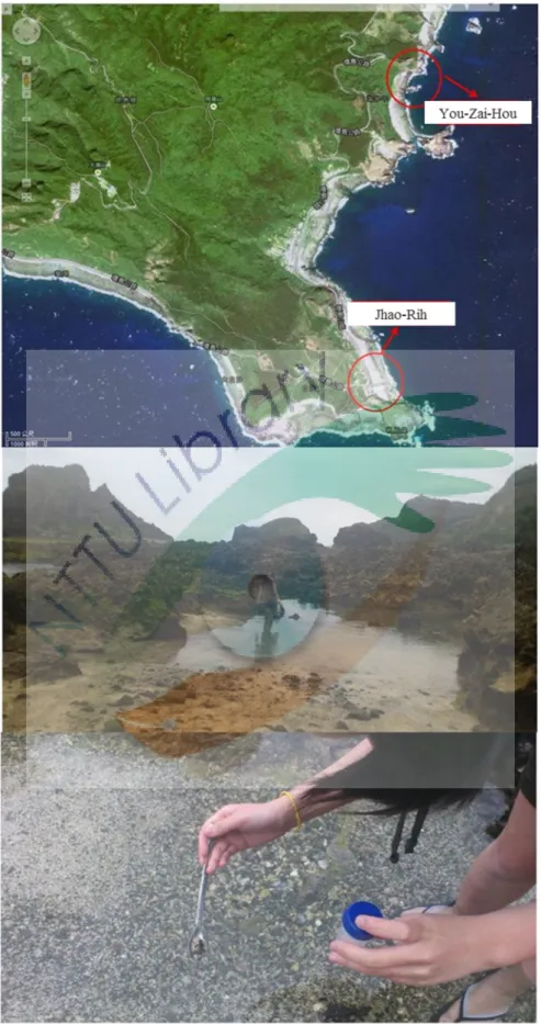 Figure 13. Sampling sites of You-Zai-Hou intertidal area. 