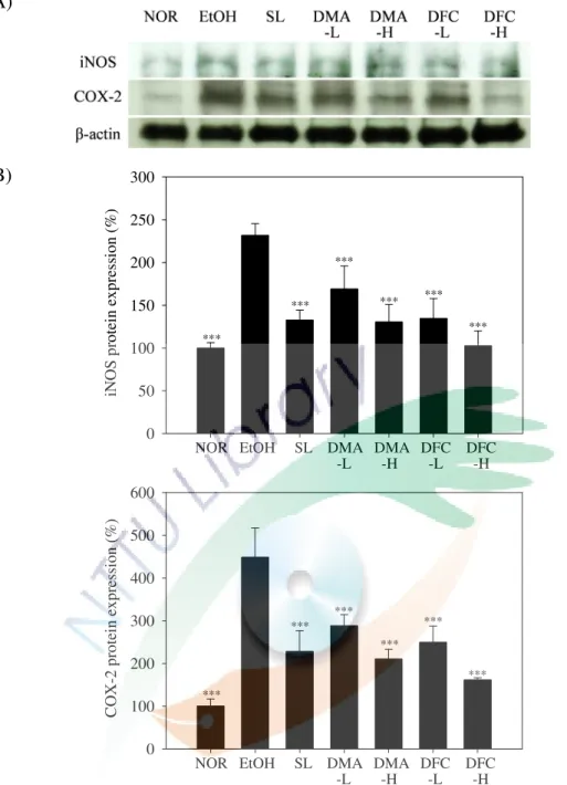 圖  4-5 DMA  與  DFC  對酒精性肝損傷小鼠肝組織  iNOS  和  COX-2  之影響  Fig.  4-5  The  effects  of  DMA  and  DFC  on  hepatic  iNOS  and  COX-2  expressions  of  the ethanol-induced liver injury mice