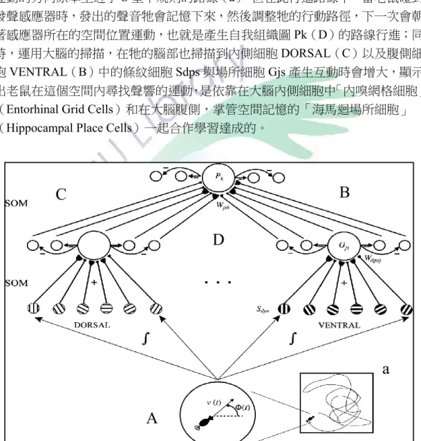 圖 2 -3 老鼠大腦「內嗅網格細胞」與「海馬迴場所細胞」互動學習圖 。 