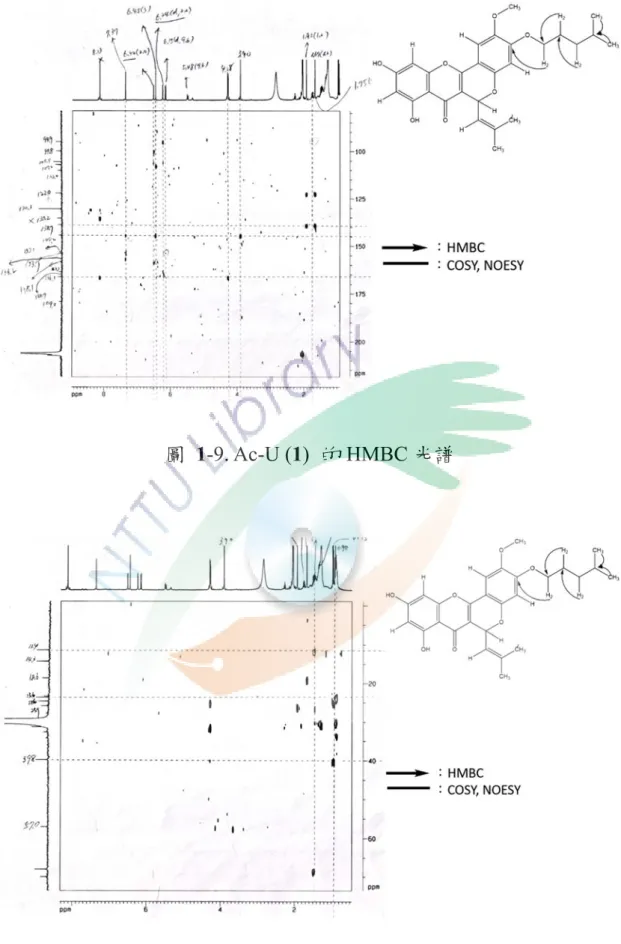 圖  1-9. Ac-U (1)  的 HMBC 光譜 