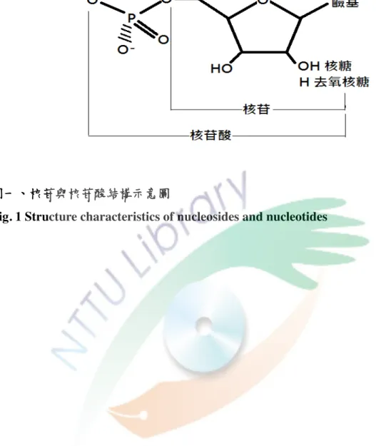 Fig. 1 Structure characteristics of nucleosides and nucleotides     