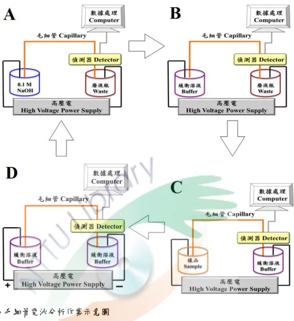 Fig. 3 Scheme of capillary electrophoresis operation  (A)  使用 0.1 M NaOH  沖洗毛細管 