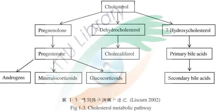圖  1- 3.  膽固醇代謝轉化途徑  (Liscurn 2002)  Fig 1-3. Cholesterol metabolic pathway   