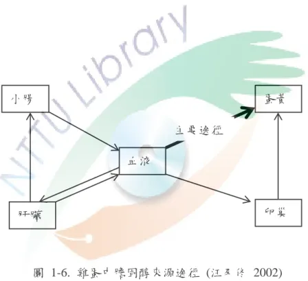 圖  1-6.  雞蛋中膽固醇來源途徑  (汪及佟  2002)  Fig 1-6.The transport pathway of egg cholesterol