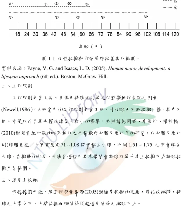 圖 1-1  兩性投擲動作發展階段差異比較圖。 