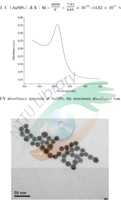 Fig.  2.  UV absorbance spectrum of AuNPs,  the maximum absorbance was at 519  nm. 
