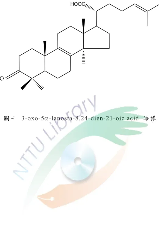 圖 七   3-oxo-5α-lanosta-8,24-dien-21-oic acid  結 構  
