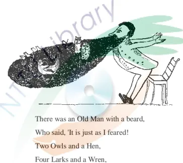 圖 4-1 李爾無稽詩第 1 首  如圖 4-1，圖中的人物，很明顯的，鬍子的比例是頭部的數倍大，鬍子中住 了四種不同的鳥類共八隻，大哥笑著說： 「好誇張！鳥住在這個人的鬍子裡！」 二哥也跟著笑著直呼： 「太誇張了！這個人的鬍子又多又密到可以當鳥巢！」小 妹仔，兩隻眼睛咕嚕咕嚕的專心聽著大哥和二哥的笑聲，像個小跟班一樣跟著哈 哈笑： 「對呀！好誇張喔！鳥住在鬍子裡！」 