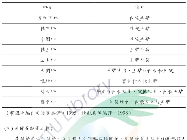 表  2-1  肩部肌肉作用表  肌肉  作用  肩胛下肌  內旋手臂  棘下肌  外旋手臂  小圓肌  外旋手臂  棘上肌  上臂外展  三角肌  上臂外展  大圓肌  手臂伸出、上臂的內收和內旋  喙肱肌  彎曲和內收上臂  胸大肌  彎曲和內收肱骨、旋轉肱骨、內收手臂  闊背肌  伸展肱骨，內收及內旋手臂  （整理改編自吳維等編譯，1995；陳懿惠等編譯，1998）  (三) 肩關節韌帶之探討          肩關節是杵臼關節，在工程上也可稱做球關節。肩關節是由肱骨的圓形頭及 肩胛骨的球形淺窩所構成