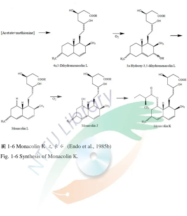 圖 1-6 Monacolin K  之合成  (Endo et al., 1985b)  Fig. 1-6 Synthesis of Monacolin K. 