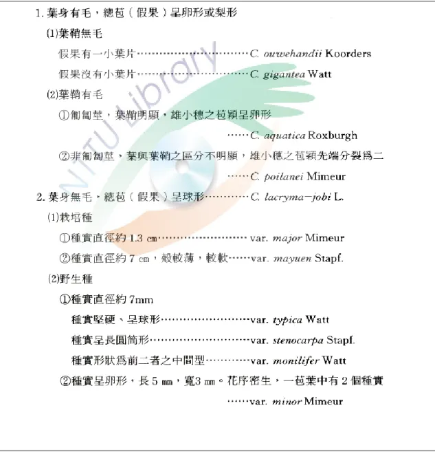 表 1.薏苡屬(coix)植物的分類檢索表 