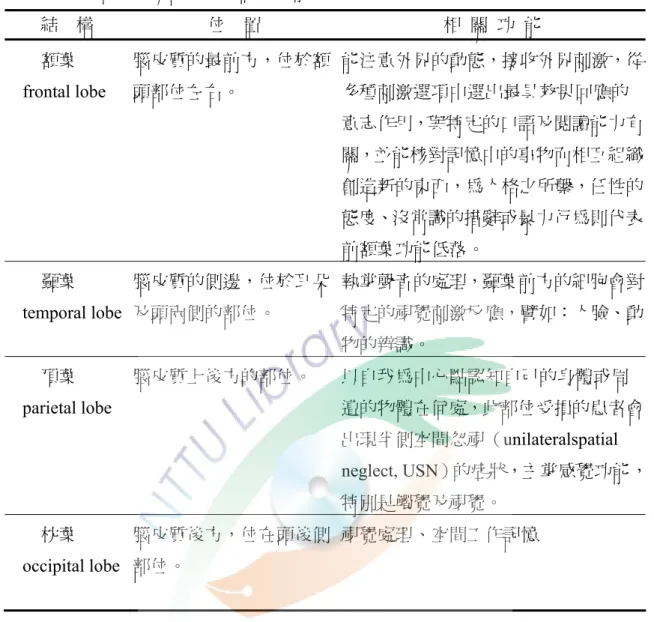 表 2-1-1 大腦四大聯合區的位置與功能  結  構  位  置  相  關  功  能  額葉  frontal lobe  腦皮質的最前方，位於額頭部位左右。  能注意外界的動態，接收外界刺激，從多種刺激選項中選出最具效果回應的 意志作用，與特定的口語及閱讀能力有 關，並能核對記憶中的事物而相互組織 創造新的東西，為人格之所繫，任性的 態度、沒常識的措辭或暴力行為則代表 前額葉功能低落。  顳葉  temporal lobe  腦皮質的側邊，位於耳朵及頭兩側的部位。  執掌聲音的處理，顳葉前方的細胞會