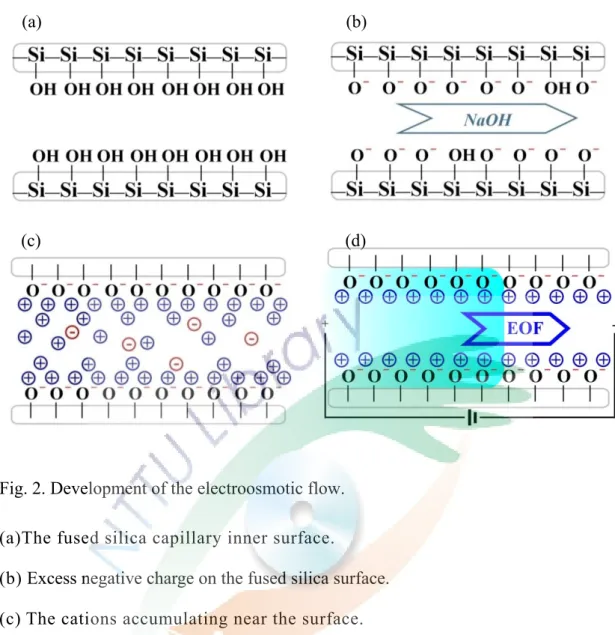 Fig. 2. Development of the electroosmotic flow. 