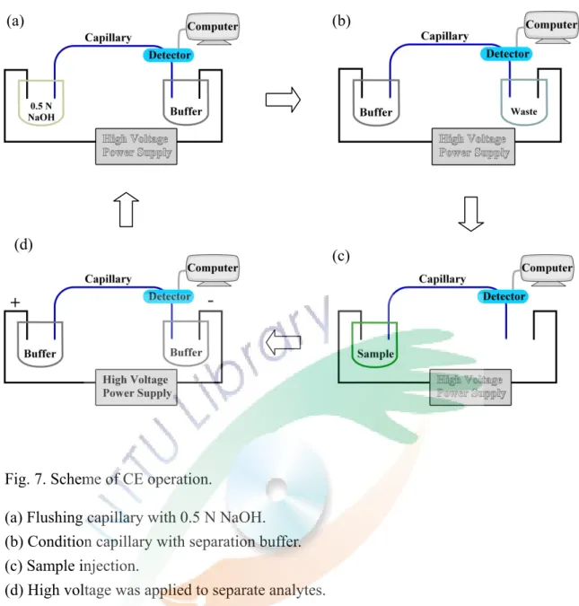 Fig. 7. Scheme of CE operation. 
