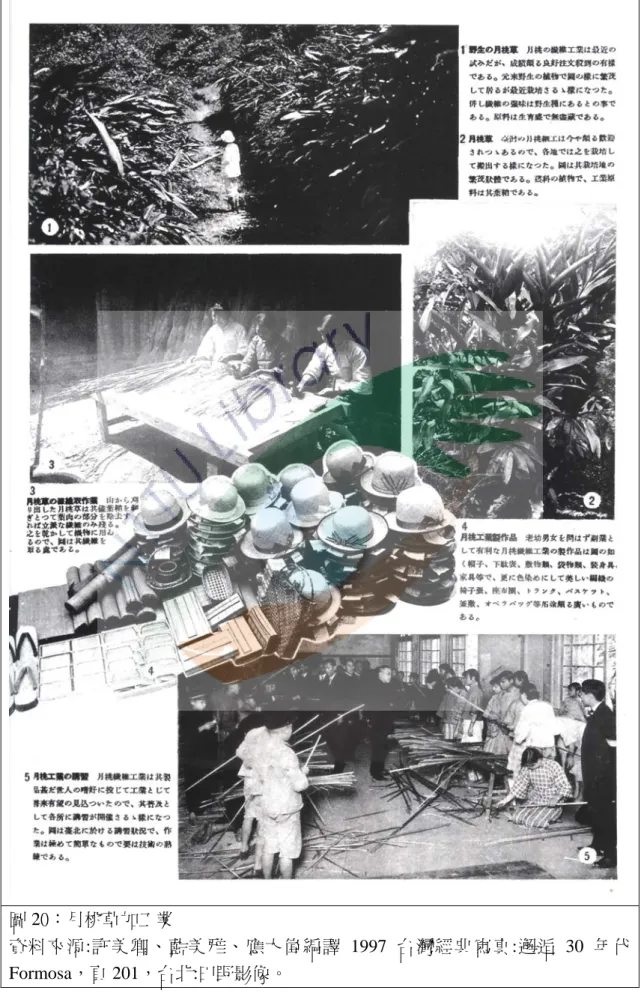 圖 20：月桃草加工業 
