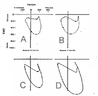 圖 7  Shapiro et al.（1981）不同速度走路時髖、膝關節角-角圖（引自 Newell，