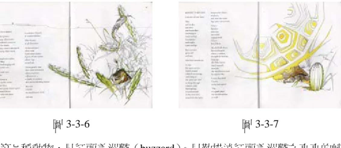 圖 3-3-6  圖 3-3-7          第七種動物，是紅頭美洲鷲（buzzard） 。貝勒描述紅頭美洲鷲在高高的峭壁 上做窩，以及如何乘著熱浪盤旋上升、在風中漂流、在高空上頭俯瞰、尋找腐肉 等，都表達出紅頭美洲鷲種種行為的自主與意向性。尤其，當紅頭美洲鷲說道： 「風是唯一的聲音，我讓它對我說話」 （貝勒， 《沙漠中的聲音》跨頁 8）；意指 他不但擅於乘風飛行，也有著細膩的心思，主動感受高空風光。第八種動物，是 蜥蜴（lizard）。貝勒書寫蜥蜴下蛋、埋藏在沙地裡、剛孵化的小蜥蜴向上挖路、 捕捉昆